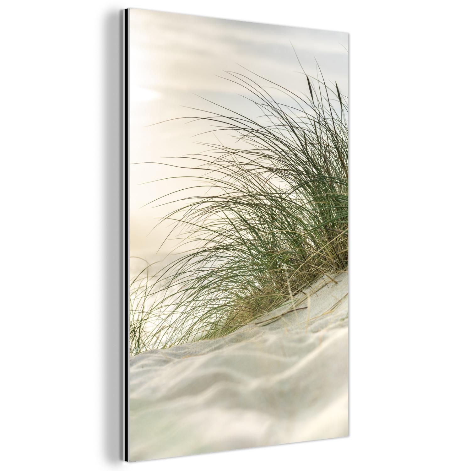 METALLBILD Dünen mit Strandhafer in der Sonne des Nationalparks Schleswig-Holsteinisches Wattenmeer 80x120 cm - Creme, Metall (80/120cm) - MuchoWow