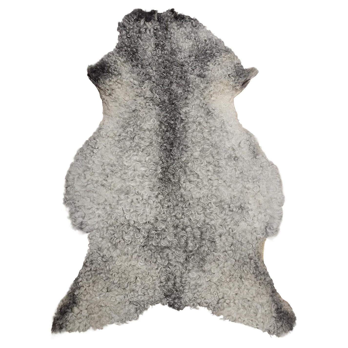 SCHAFFELL Gotland Naturgrau Lockig Unikat ca. 100 cm - Hellgrau, Fell (60/100cm) - Provellus