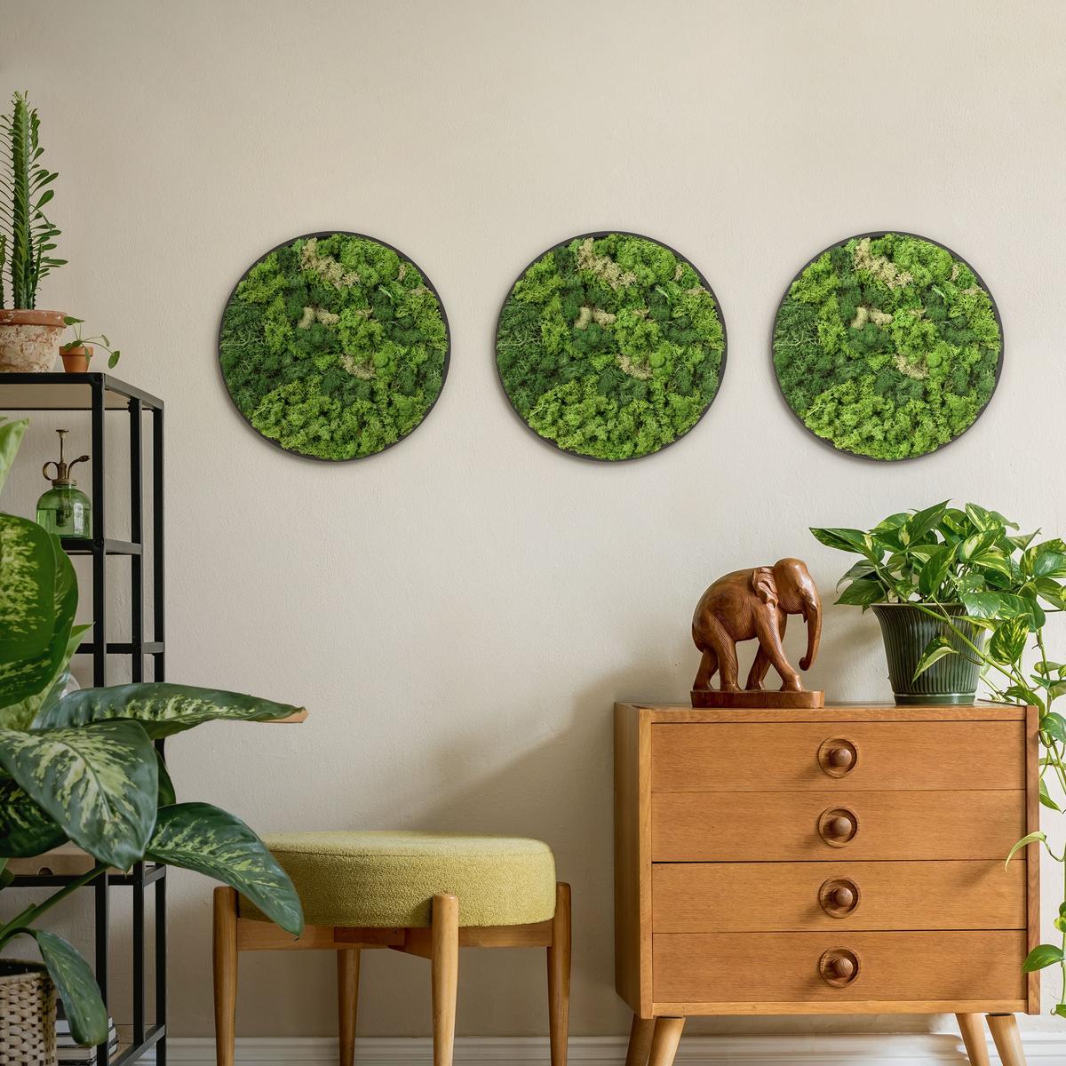 MOOSBILD Rund Ø 40 cm Mooswand Indoor mit Echtem Islandmoos und Holzrahmen Grün Pflegefrei - Salbeigrün, Naturmaterialien (40/40/3cm) - ECD-Germany
