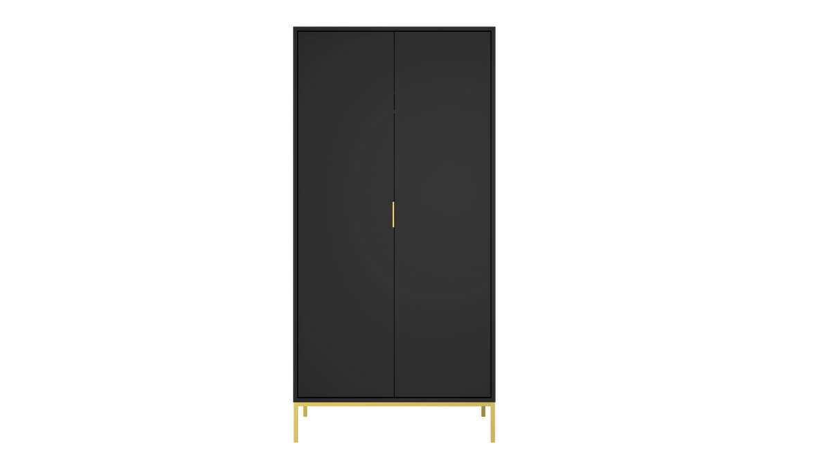 DREHTÜRENSCHRANK Austin - Goldfarben/Schwarz, Holzwerkstoff (55/205/100cm) - RAUMHIRSCH FURNITURE