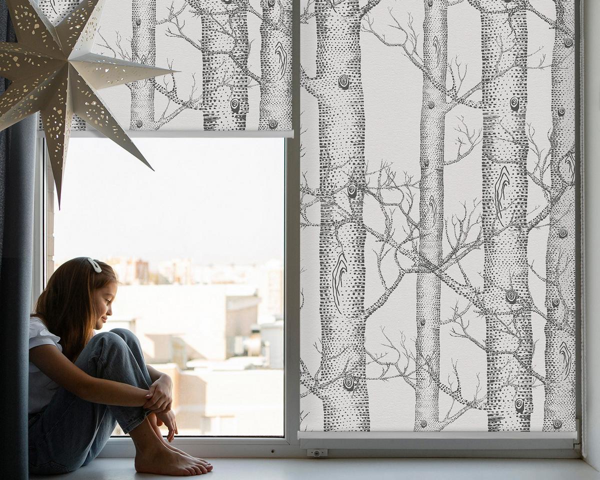INNENROLLO - Fensterrollo - Rollo - 150x180 cm - Koffer - Grau, Kunststoff (150/180/0.5cm) - TULUP
