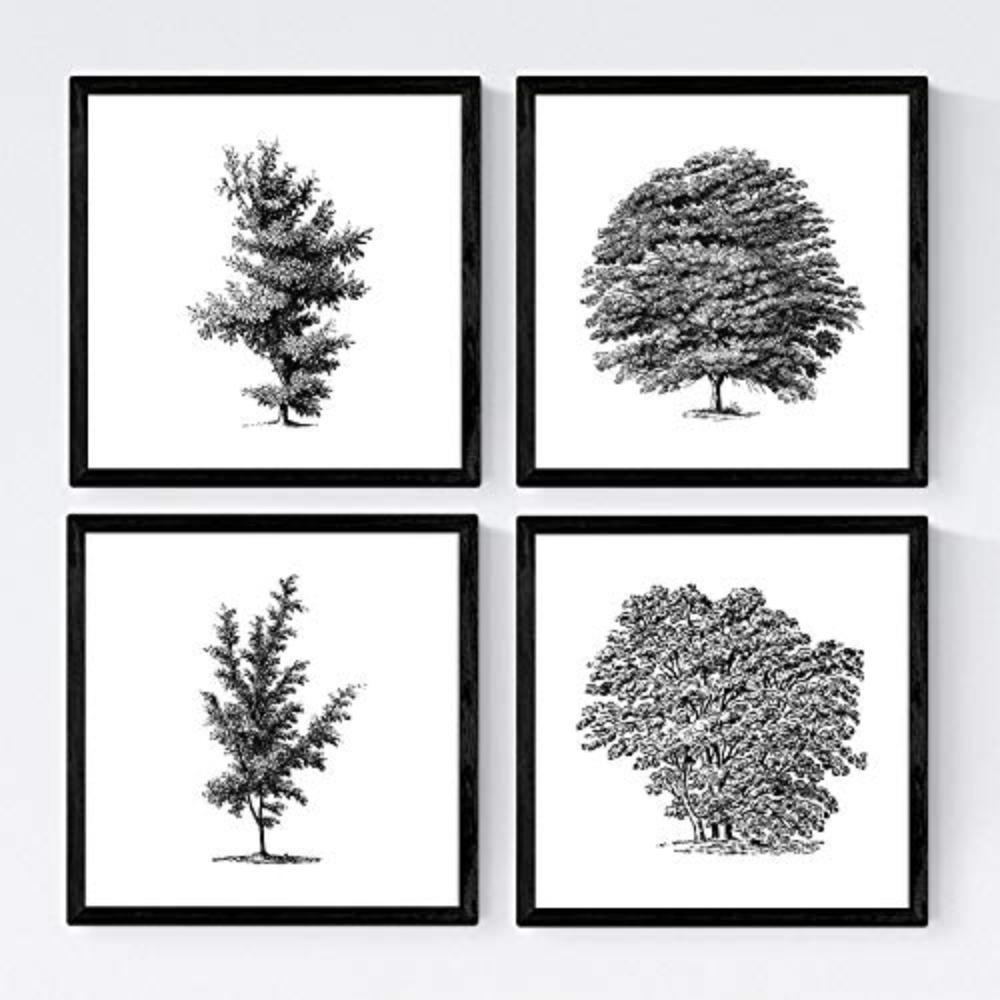 POSTER Set mit 4 Bädern Bäume variierten weißer Hintergrund 30x30 cm Rahmenlos - Klar, Papier (30/3cm) - Nacnic