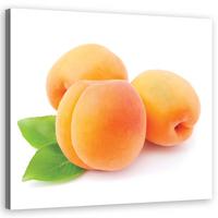 WANDBILD aprikose obst - Orange, Textil (40/40cm) - Feeby