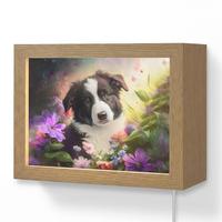 WANDLEUCHTE Welpe - Sonne - Blumen - Natur - Border Collie - Hund 20x15 cm - Violett, Holzwerkstoff (20/15/8cm) - OnlyWow