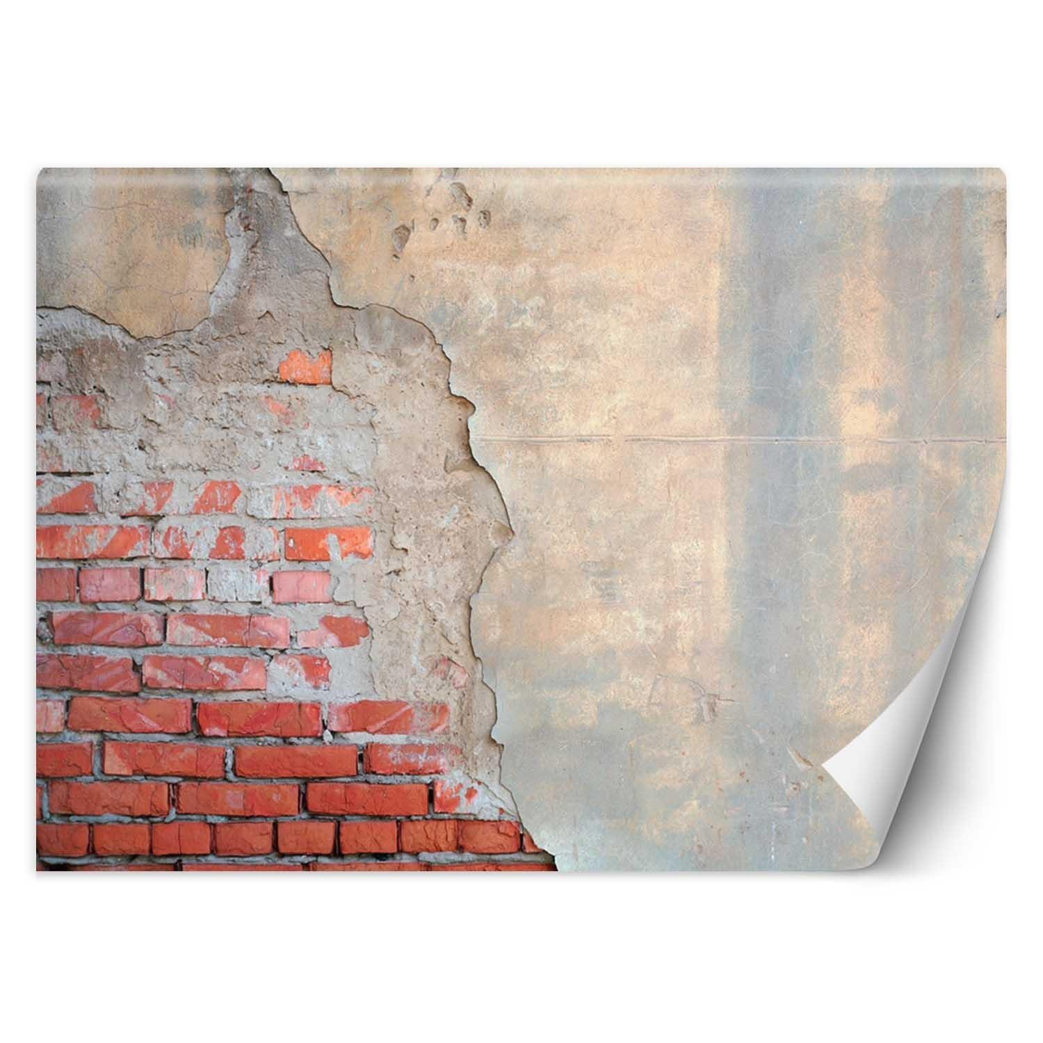 VLIESTAPETE Rot 200/140 cm - Rot, Papier (200/140cm) - KUNSTLOFT