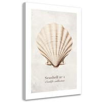 WANDBILD natürliche muschel - Beige, Textil (40/60cm) - Feeby