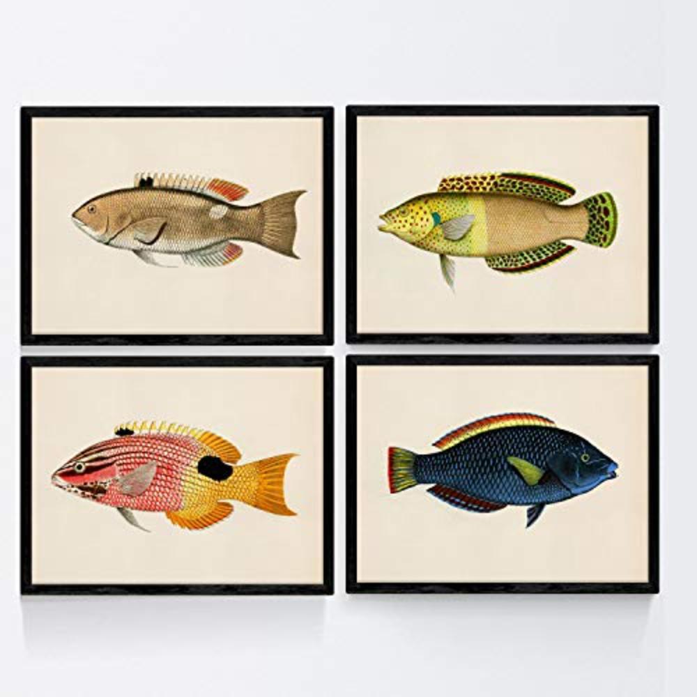 POSTER Set mit 4 Fischweinleseffekt blau gelb grüner Ton A4 Rahmenlos - Klar, Papier (29.7/3cm) - Nacnic