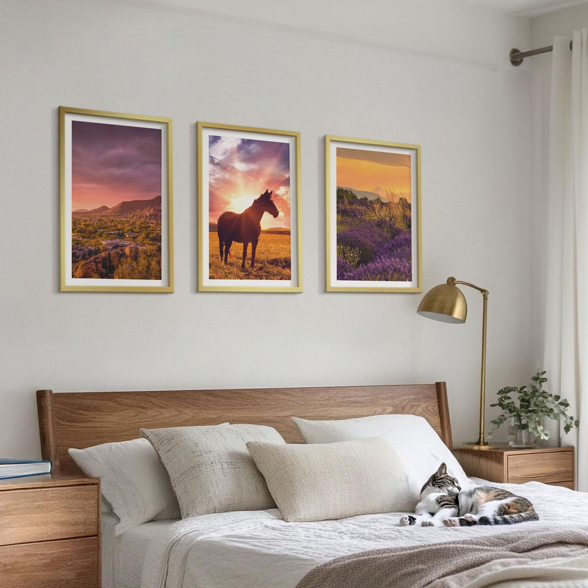 BILDER SET 3er Set - 40x60 cm Goldrahmen - Berglandschaft mit einem Pferd - Goldfarben, Kunststoff (40/60cm) - TULUP