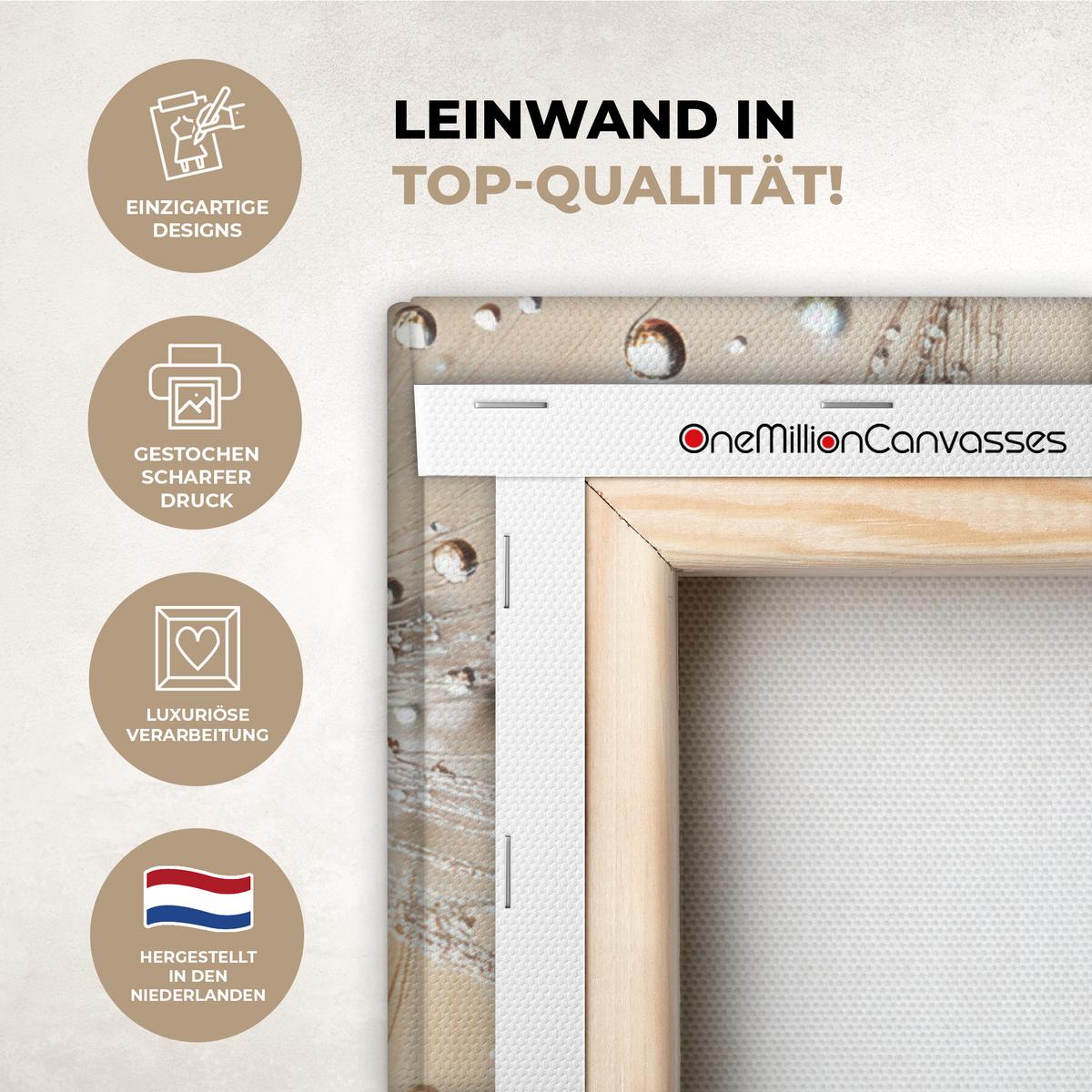 LEINWANDBILD Löwenzahn - Abstrakt - Natur - Beige Wandbild Wohnzimmer 50x50 cm - Braun, Textil (50/50cm) - MuchoWow