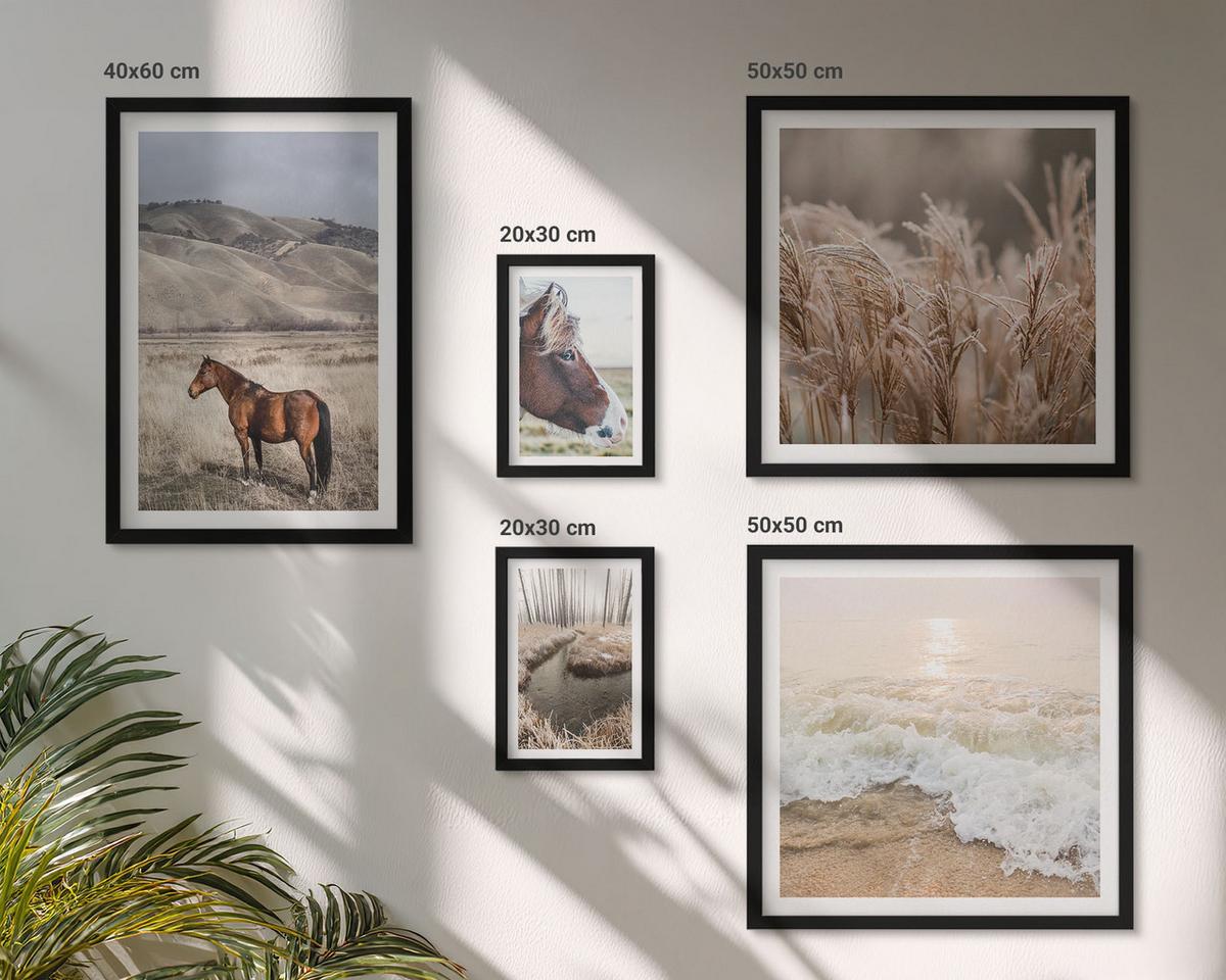 BILDER SET 5er Set - 50x50 cm & 20x30 cm & 40x60 cm Schwarzer Rahmen - Pferdelandschaft Seegraswald - Schwarz, Kunststoff (40/60cm) - TULUP