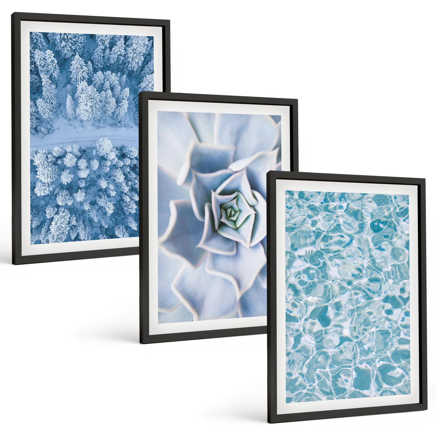BILDER SET 3er Set - 40x60 cm Schwarzer Rahmen - Winterwald blaue Blume Wasser - Schwarz, Kunststoff (40/60cm) - TULUP
