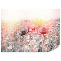 FOTOTAPETE für Wohnzimmer Mohnfeld Wiese Sonnenaufgang Natur 350x256 - Gelb/Rot, Papier (350/256cm) - Muralo
