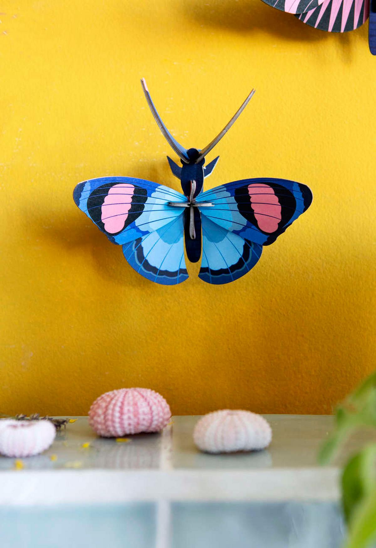 WANDDEKO Pfauenauge 16/6 cm - Blau/Pink, Wellpappe (16/6/17cm) - Studio Roof