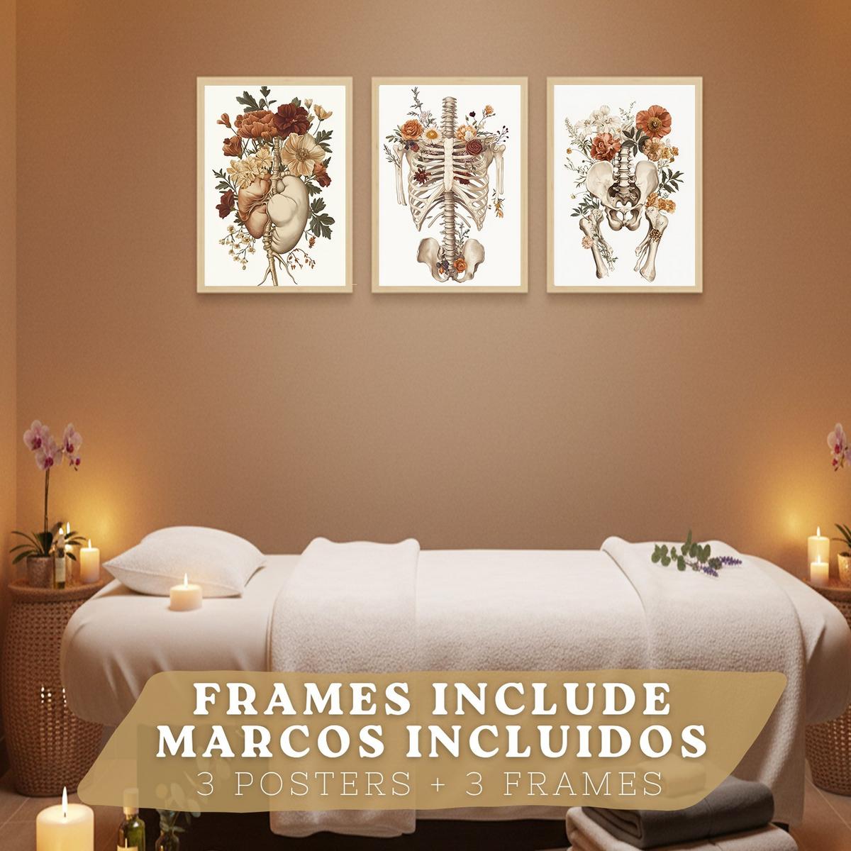 POSTER Set aus 3 Anatomie Mensch Florale Vintage Drucke und Wandbilder mit Herz Brustkorb und Becken Wanddekoration Größe Leichter Holzrahmen A3 - Beige, Papier (29.7/42/3cm) - Nacnic