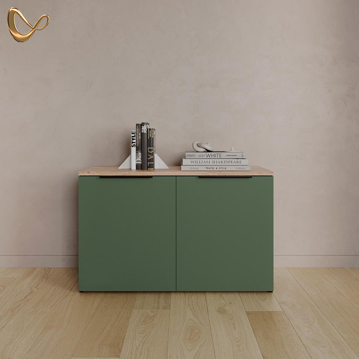 KOMMODE Piave Grün mit 2 Türen - Grün, Holzwerkstoff (80/50/40cm) - Livinity®