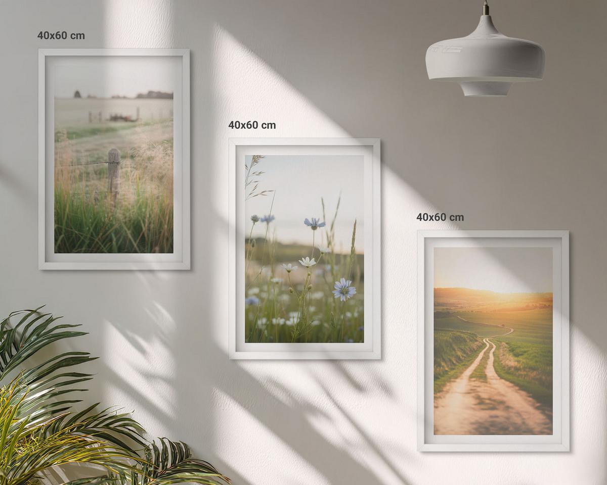BILDER SET 3er Set - 40x60 cm Weißer Rahmen - Landschaften Natur Felder Weg - Weiß, Kunststoff (40/60cm) - TULUP