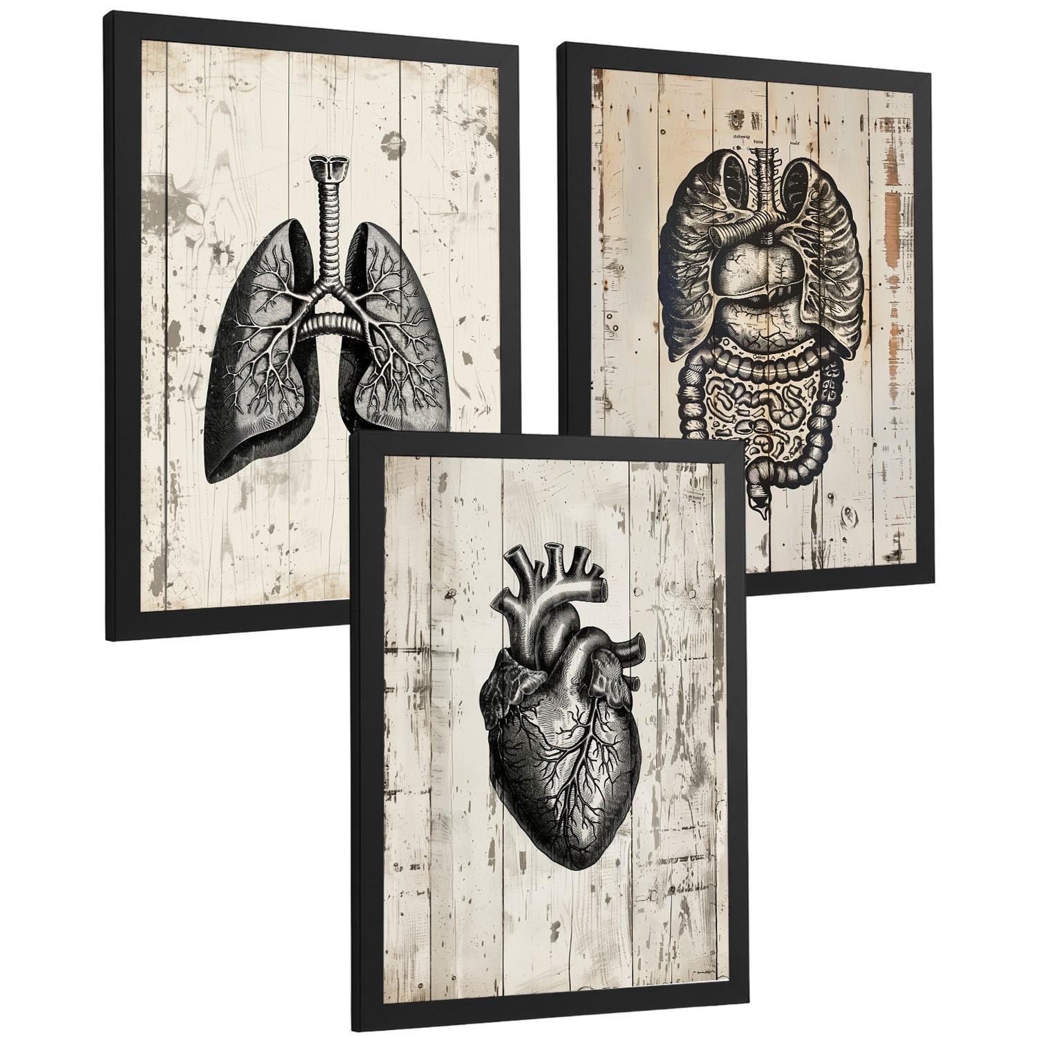 POSTER Set aus 3 Anatomie Mensch Drucke und Wandbilder mit Lungen Darm und Herz Rustikaler Stil Medizinische Wanddekoration Größe Schwarzer Rahmen A3 - Schwarz, Papier (29.7/42/3cm) - Nacnic