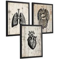 POSTER Set aus 3 Anatomie Mensch Drucke und Wandbilder mit Lungen Darm und Herz Rustikaler Stil Medizinische Wanddekoration Größe Schwarzer Rahmen A3 - Schwarz, Papier (29.7/42/3cm) - Nacnic