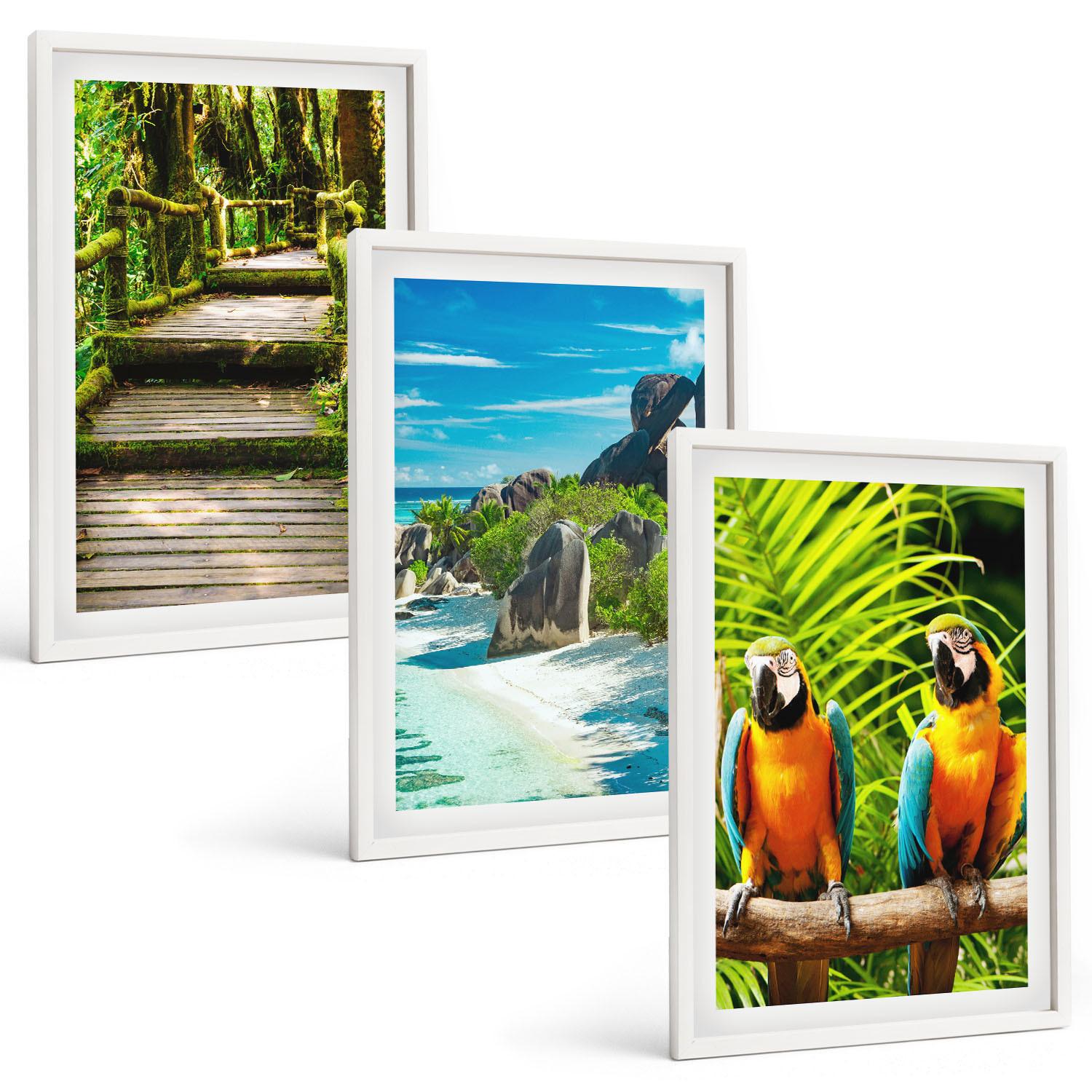 BILDER SET 3er Set - 40x60 cm Weißer Rahmen - Tropischer Wald Papageienwasserfall - Weiß, Kunststoff (40/60cm) - TULUP