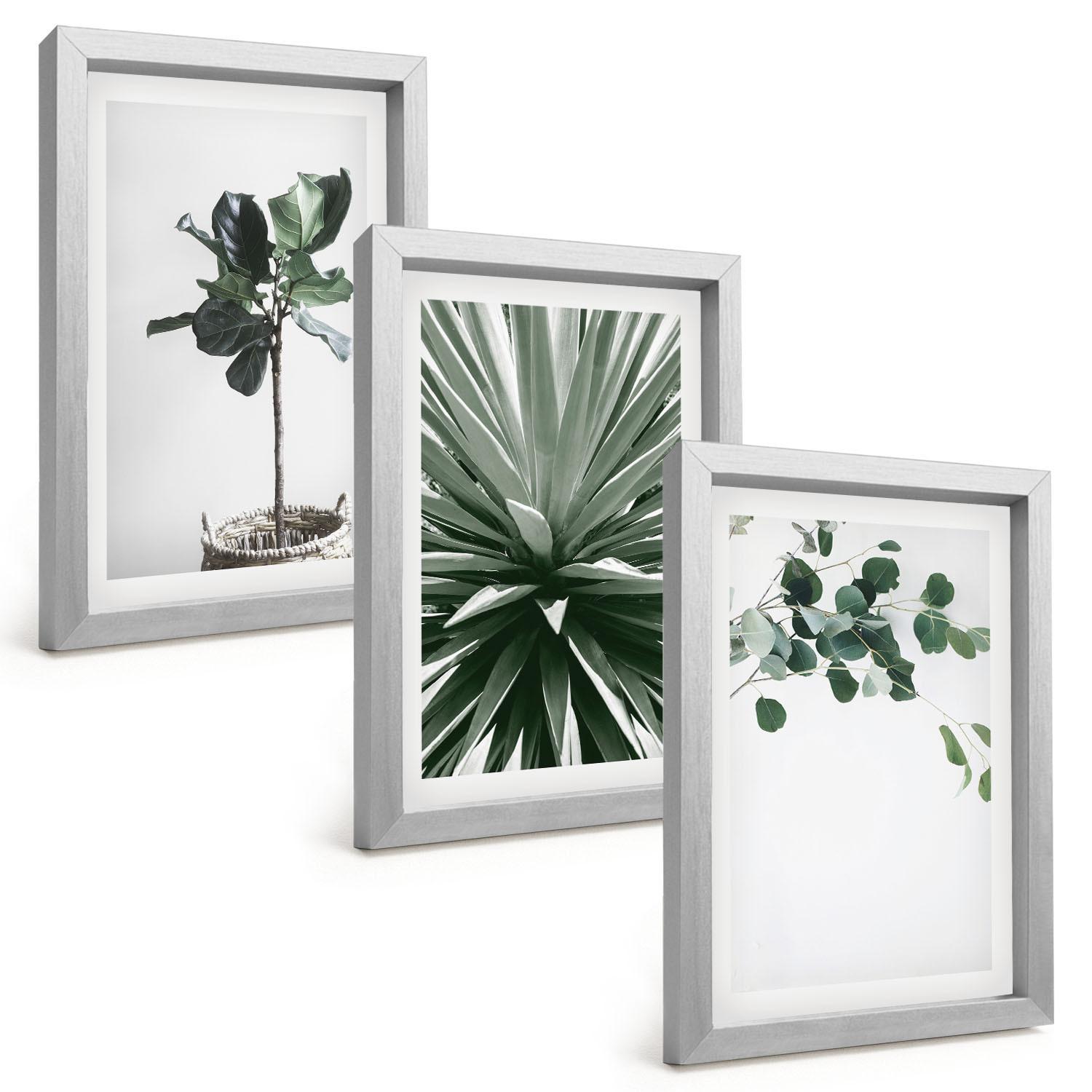 BILDER SET 3er Set - 20x30 cm Silberner Rahmen - Minimalismus mit grünen Pflanzen - Silberfarben, Kunststoff (20/30cm) - TULUP