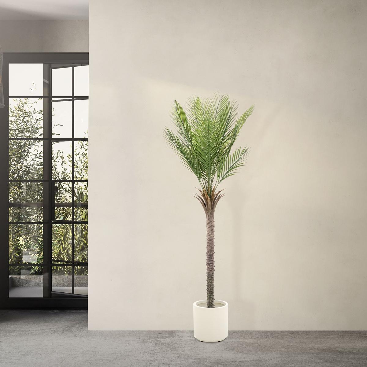 KUNSTPFLANZE Palme - Anthrazit/Grün, Holz/Kunststoff (180cm) - ML-DESIGN