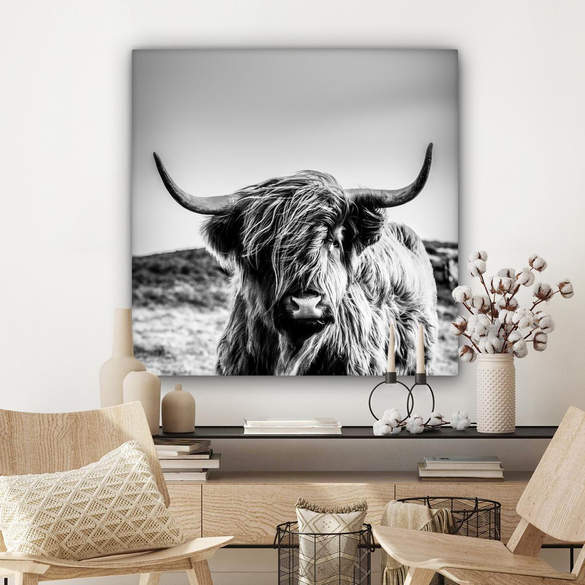 LEINWANDBILD Kuh - Schottischer Hochländer - Schwarz - Weiß - Tier - Natur - Wildtiere Deko Groß 90x90 cm - Schwarz, Textil (90/90cm) - MuchoWow