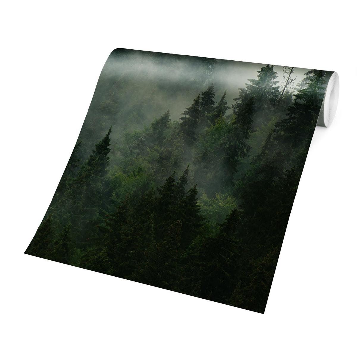 FOTOTAPETE Tiefgrüner Tannenwald im Nebel 192/192 cm - Grün, Papier (192/192cm) - Bilderwelten