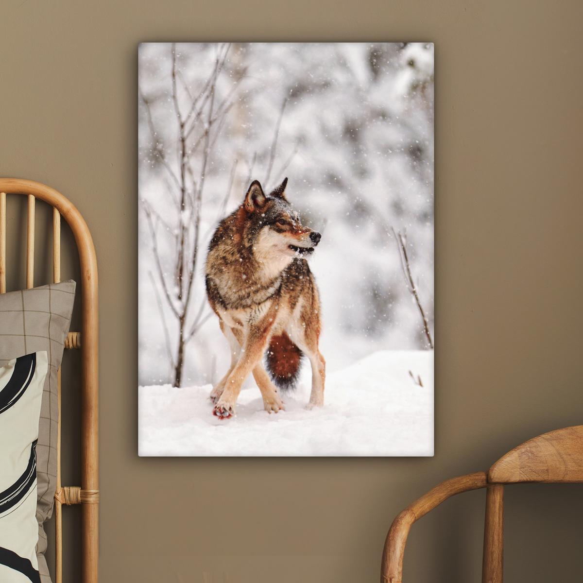 LEINWANDBILD Wolf - Winter - Schnee - Natur - Tiere Wandbild Wohnzimmer 60x80 cm - Haselnussfarben, Textil (60/80cm) - MuchoWow