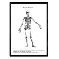 POSTER Anatomie Skelett A4 Schwarzer Rahmen - Schwarz, Papier (29.7/5/21cm) - Nacnic