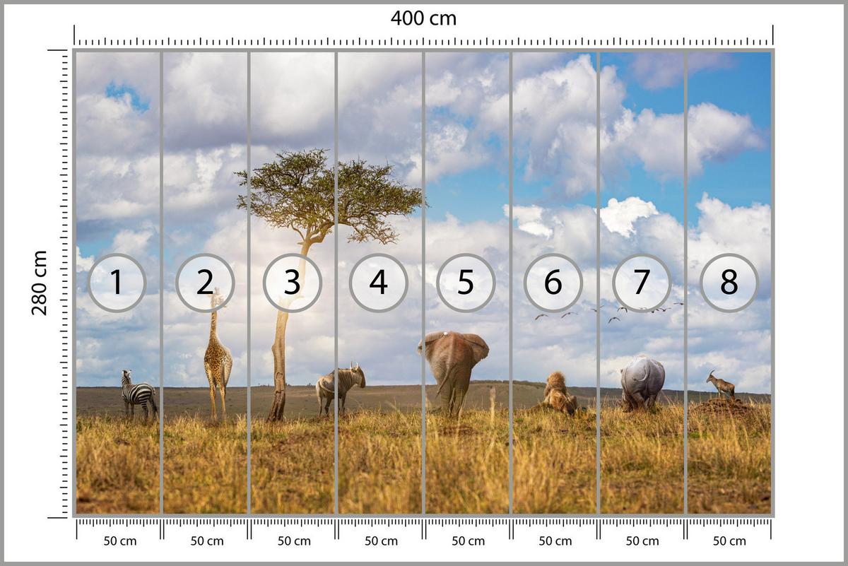 FOTOTAPETE für Kinderzimmer Safari Tiere Elefant Giraffe Löwe 400x280 - Beige/Braun, Papier (400/280cm) - Muralo