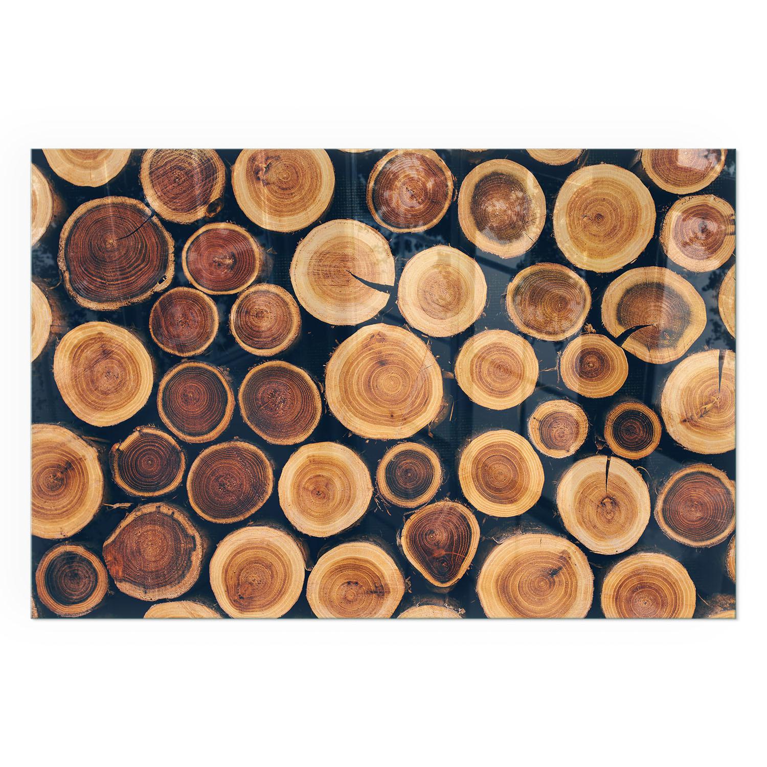 GLASPLATTE für Kamin 120x80 cm - Braun, Glas (120/80/0.4cm) - TULUP