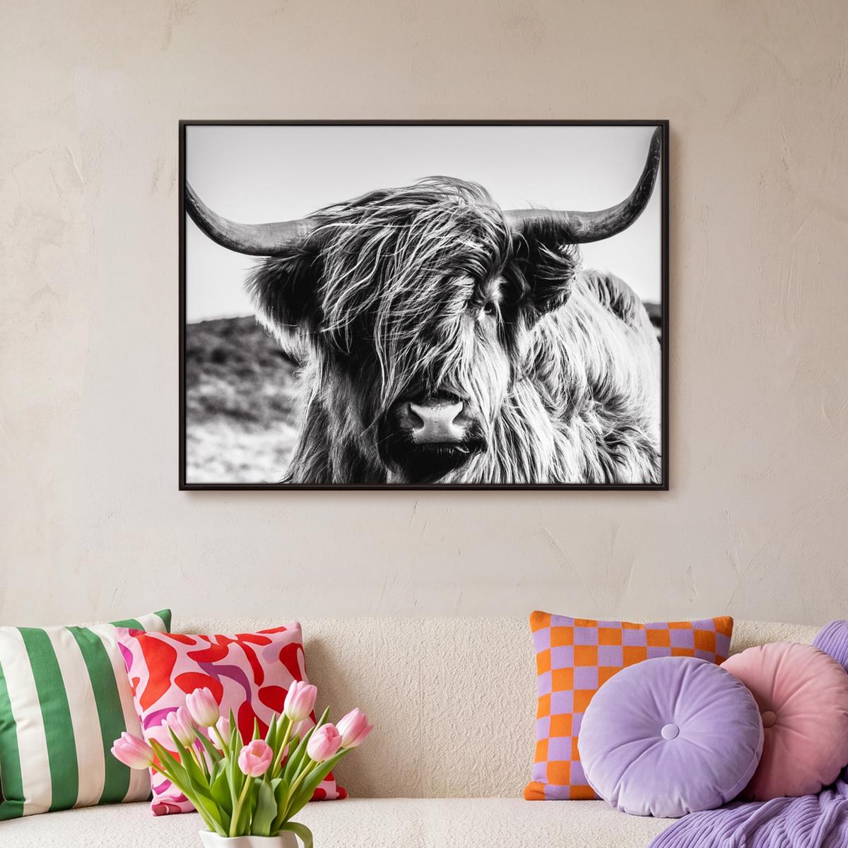 LEINWAND Bilder mit Rahmen - Kuh - Schottischer Hochländer - Schwarz - Weiß - Tier - Natur - Wildtiere - 80x60 - Schwarz, Textil (80/60cm) - MuchoWow