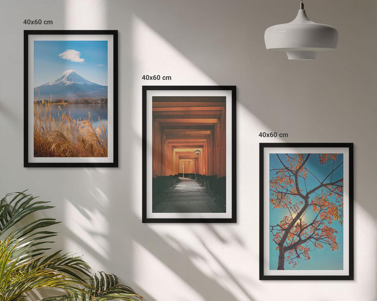 BILDER SET 3er Set - 40x60 cm Schwarzer Rahmen - Japanische Naturlandschaften - Schwarz, Kunststoff (40/60cm) - TULUP
