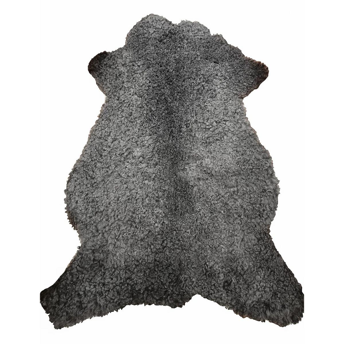 SCHAFFELL Gotland Naturgrau Lockig Unikat ca. 100 cm - Dunkelgrau, Fell (60/100cm) - Provellus