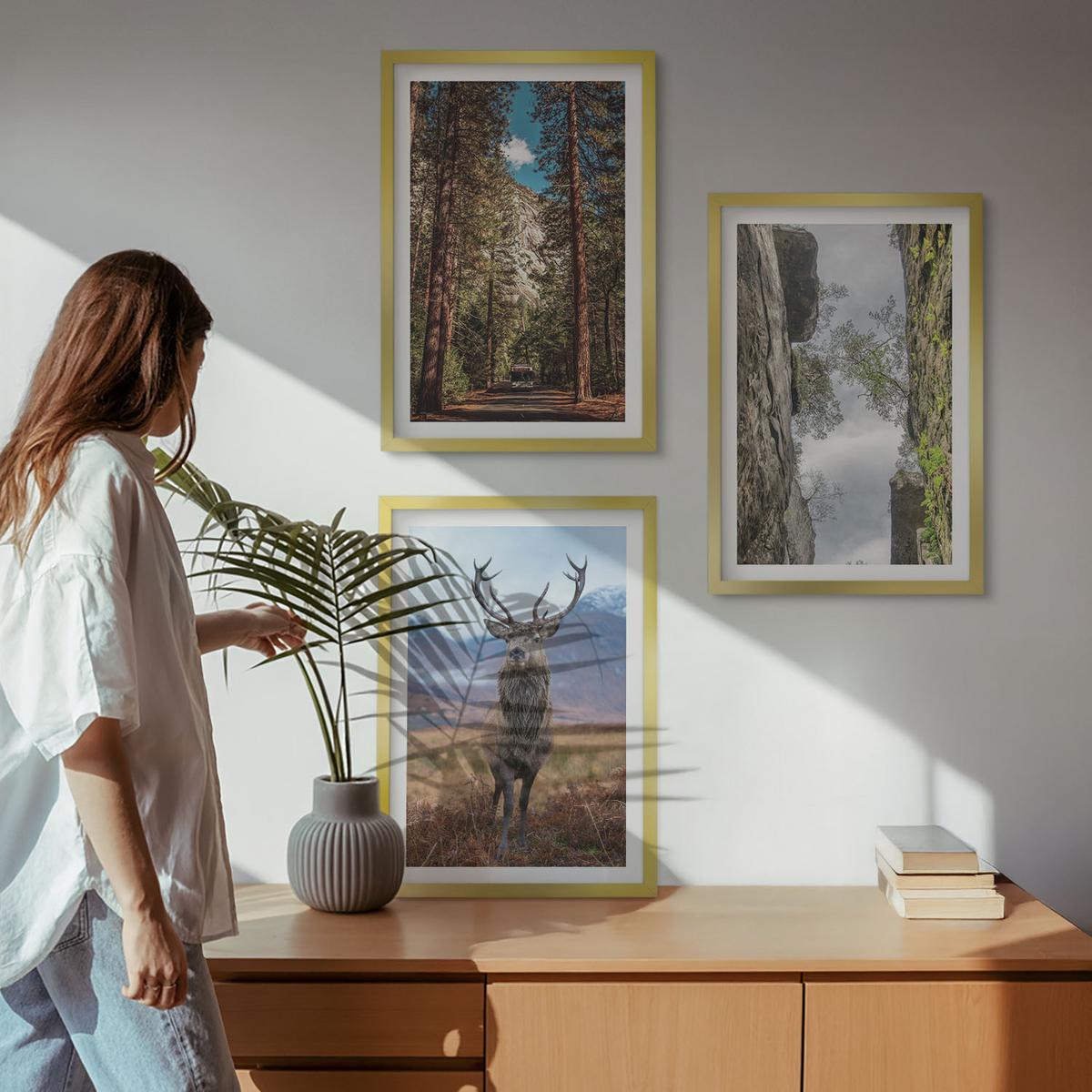 BILDER SET 3er Set - 40x60 cm Goldrahmen - Straße Wald Berge Hirsch Natur - Goldfarben, Kunststoff (40/60cm) - TULUP
