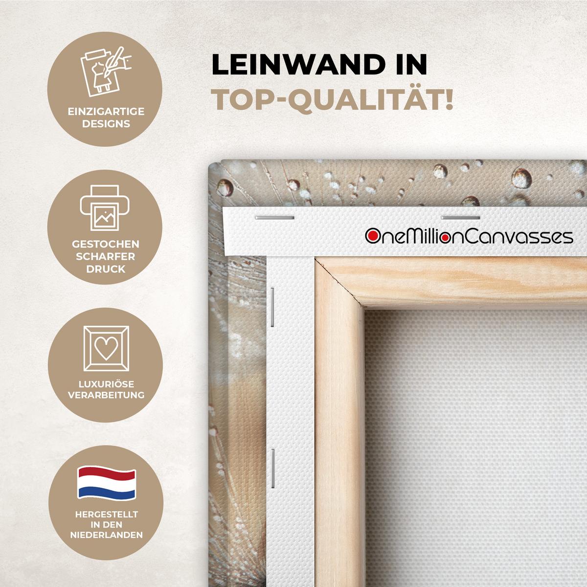 LEINWANDBILD Löwenzahn - Abstrakt - Natur - Beige Wandbild 40x30 cm - Braun, Textil (40/30cm) - MuchoWow