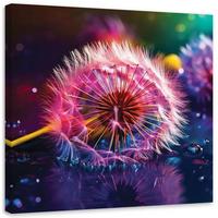 LEINWANDBILD Pusteblume Makro Abstraktion 30x30cm - Lila, Textil (30/30cm) - Feeby