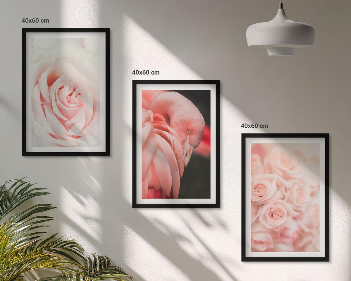 BILDER SET 3er Set - 40x60 cm Schwarzer Rahmen - Zartrosa Flamingos - Schwarz, Kunststoff (40/60cm) - TULUP