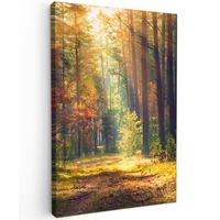 LEINWANDBILD Wald - Herbst - Bäume Deko XXL 80x120 cm - Dunkelgrün, Textil (80/120cm) - MuchoWow