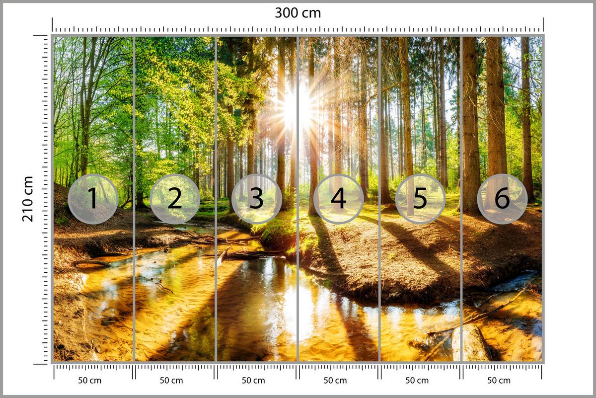 FOTOTAPETE für Wohnzimmer Pflanzen Natur Gras Sonniger Wald Bäume 300x210 - Multicolor, Papier (300/210cm) - Muralo