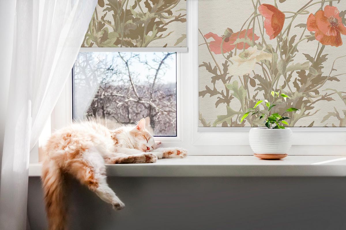 INNENROLLO - Fensterrollo - Rollo - 80x180 cm - Mohnblumen - Grau, Kunststoff (80/180/0.5cm) - TULUP