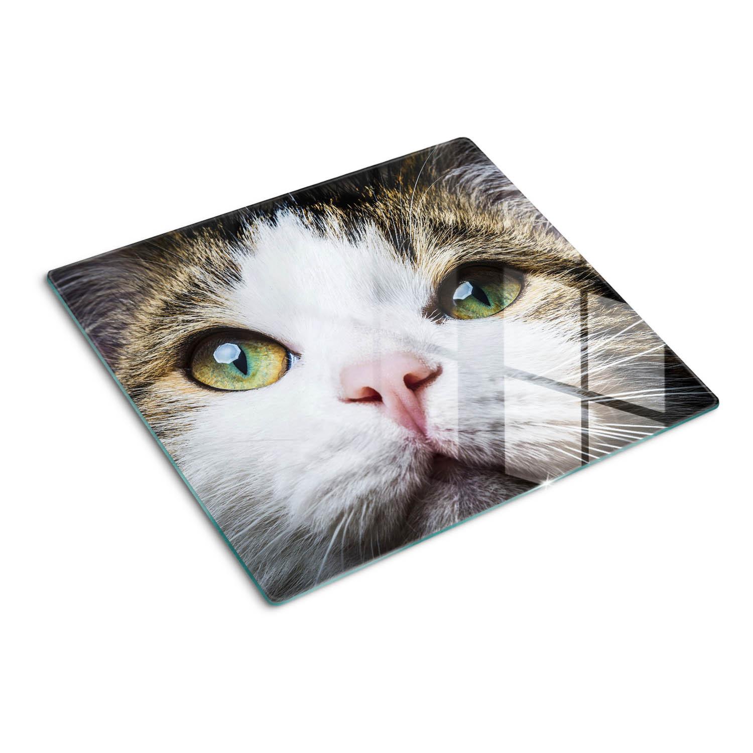 GLASPLATTE 60x52 cm Grüne Katzenaugen - Braun/Weiß, Glas (60/52cm) - TULUP