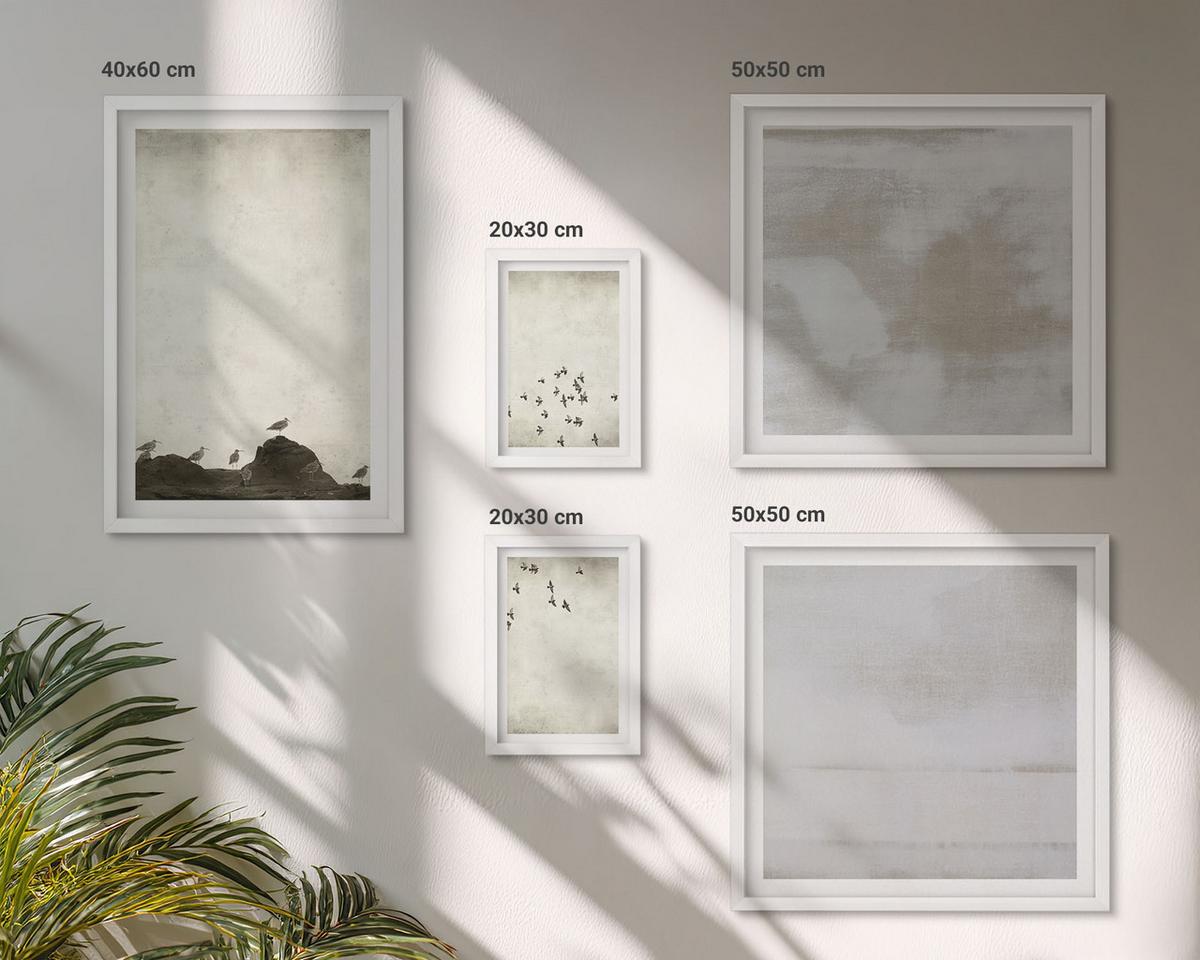 BILDER SET 5er Set - 50x50 cm & 20x30 cm & 40x60 cm Weißer Rahmen - Minimalistische Vögel im Flug - Weiß, Kunststoff (40/60cm) - TULUP