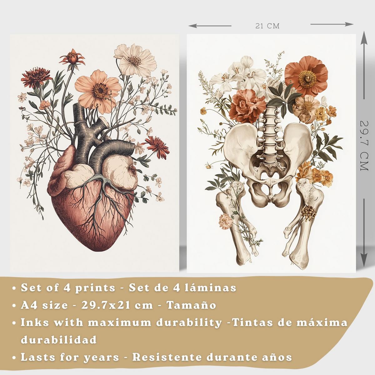 POSTER Set aus 4 Anatomie Drucke und Wandbilder mit Herz Nieren Schädel und Becken Botanischer Stil Wanddekoration Größe Schwarzer Rahmen A4 - Schwarz, Papier (21/29.7/3cm) - Nacnic