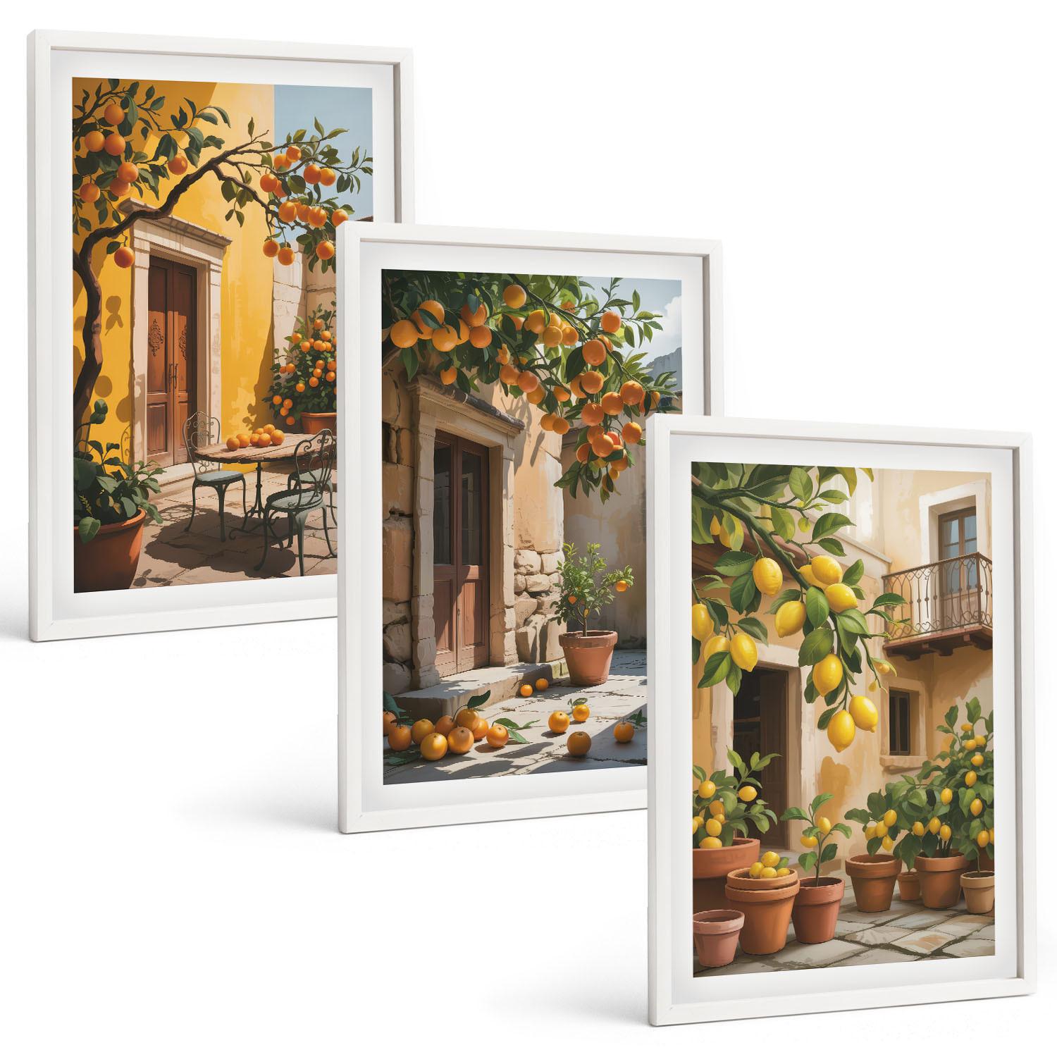 BILDER SET 3er Set - 40x60 cm Weißer Rahmen - Zitrusfrüchte, Hofpflanzen - Weiß, Kunststoff (40/60cm) - TULUP
