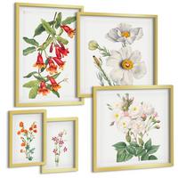 BILDER SET 5er Set - 50x50 cm & 20x30 cm & 40x60 cm Goldrahmen - Blumenmalerei im Retro-Stil - Goldfarben, Kunststoff (40/60cm) - TULUP