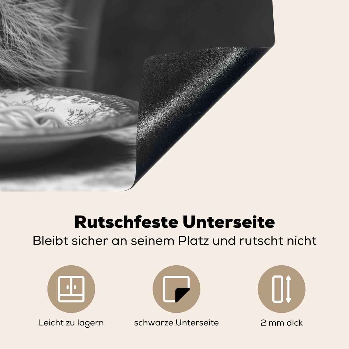 HERDABDECKPLATTE Waschbär - Niedlich - Pasta - Tischtuch - Schwarz - Weiß Ceranfeldabdeckung 85x52 cm - Grau, Kunststoff (85/52/0.2cm) - MuchoWow