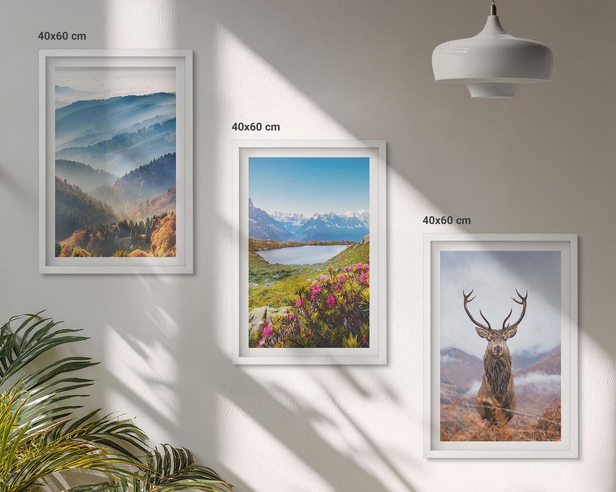 BILDER SET 3er Set - 40x60 cm Weißer Rahmen - Natur des Bergseehirsches - Weiß, Kunststoff (40/60cm) - TULUP