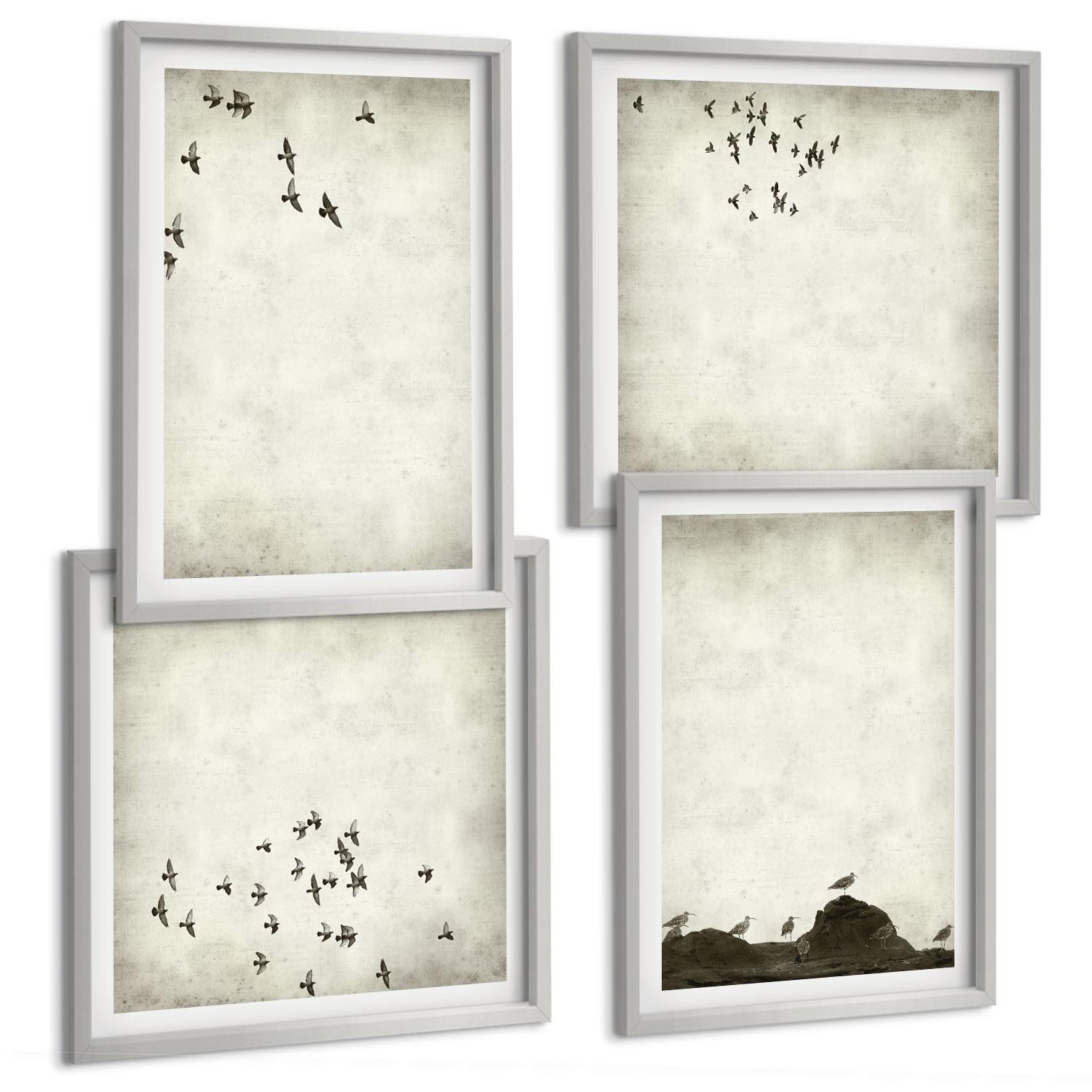 BILDER SET 4er Set - 50x50 cm & 40x60 cm Silberner Rahmen - Minimalistische Vogelmalerei - Silberfarben, Kunststoff (50/50cm) - TULUP