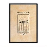 POSTER Insekten Gravur – Dragonfly A3 Rahmenlos - Klar, Papier (29.7/5/42cm) - Nacnic